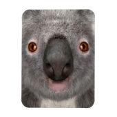Koala Magneet (Verticaal)