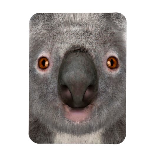 Koala Magneet (Verticaal)