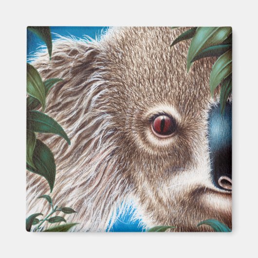 Koala Magnet (Voorkant)