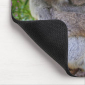 Koala mama zoon muismat (Hoek)