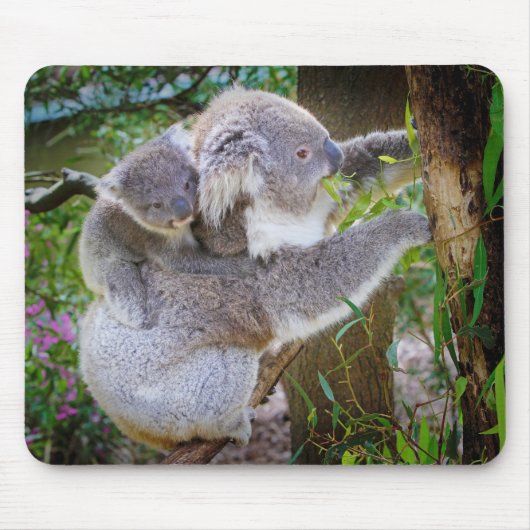 Koala mama zoon muismat (Voorkant)