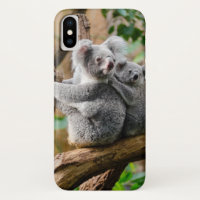 Koala met Baby in een boom in Australië