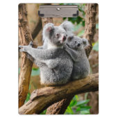 Koala met Baby in een boom in Australië Klembord (Voorkant)