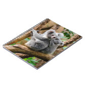Koala met Baby in een boom in Australië Notitieboek (Linkerzijde)