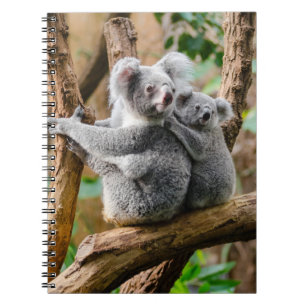 Koala met Baby in een boom in Australië Notitieboek