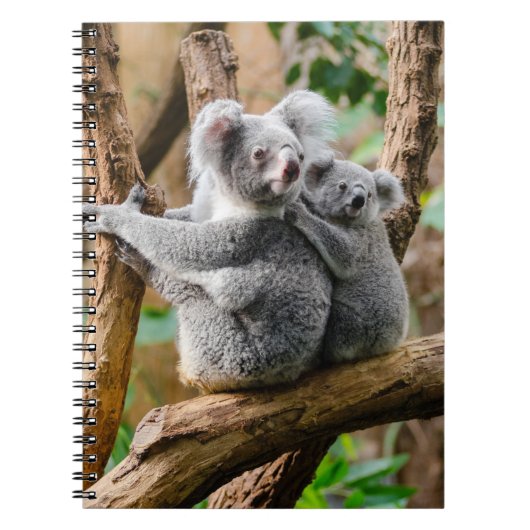Koala met Baby in een boom in Australië Notitieboek (Voorkant)