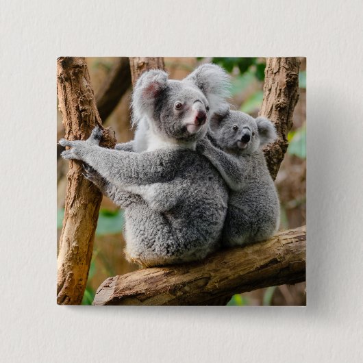 Koala met Baby in een boom in Australië Vierkante Button 5,1 Cm (Voorkant)