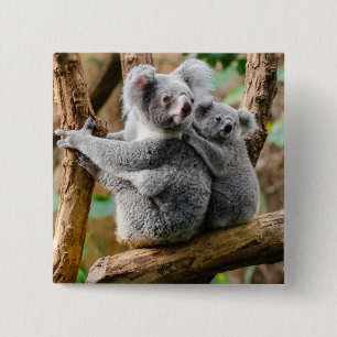 Koala met Baby in een boom in Australië Vierkante Button 5,1 Cm