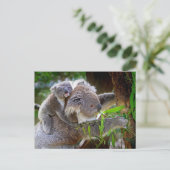 Koala mom and Sound Briefkaart (Staand voorkant)