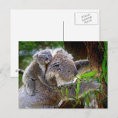Koala mom and Sound Briefkaart (Voorkant / Achterkant)