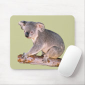 Koala Mousepadd Muismat (Met muis)