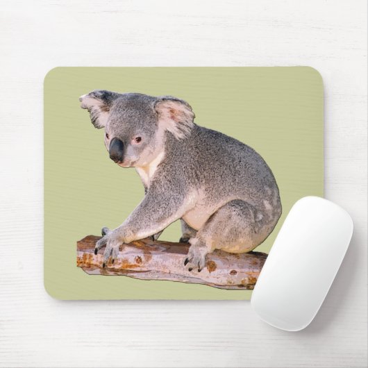 Koala Mousepadd Muismat (Met muis)
