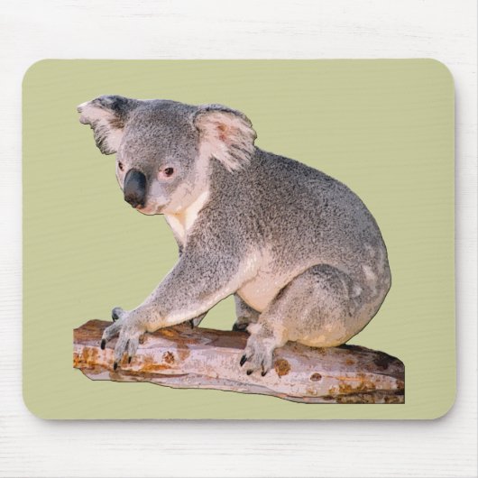 Koala Mousepadd Muismat (Voorkant)