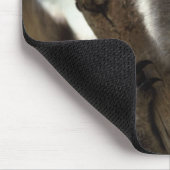 koala muismat (Hoek)