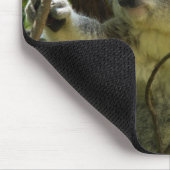 koala muismat (Hoek)