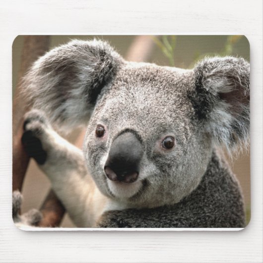 Koala Muismat (Voorkant)
