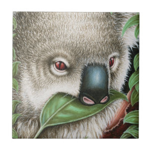 Koala Munching a Leaf Tile Tegeltje