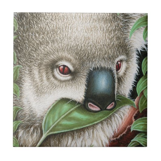 Koala Munching a Leaf Tile Tegeltje (Voorkant)