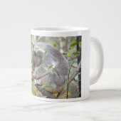 koala naar beneden slapen c grote koffiekop (Voorkant rechts)