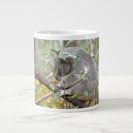 koala naar beneden slapen c grote koffiekop (Voorkant)