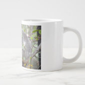 koala naar beneden slapen c grote koffiekop (Rechts)