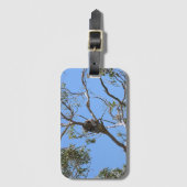 Koala Nap Bagagelabel (Voorkant (verticaal))