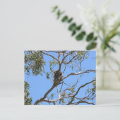 Koala Nap Briefkaart (Staand voorkant)