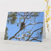 Koala Nap Kaart (Gele Bloem)