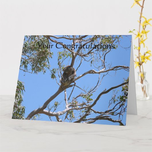 Koala Nap Kaart (Gele Bloem)