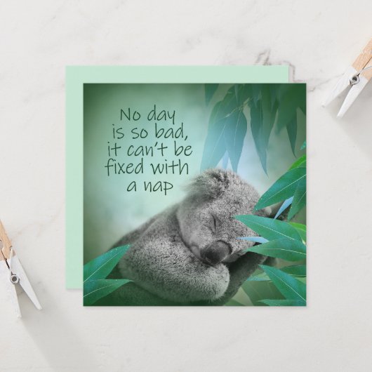 Koala Nap Kaart (Voorkant / Achterkant in situ)