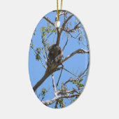 Koala Nap Keramisch Ornament (Links)