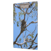 Koala Nap Klembord (Links)