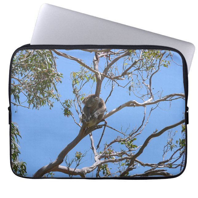 Koala Nap Laptop Sleeve (Voorkant)