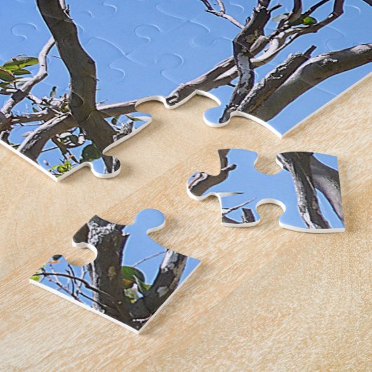 Koala Nap Legpuzzel (Zijkant)