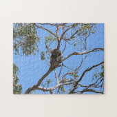 Koala Nap Legpuzzel (Horizontaal)