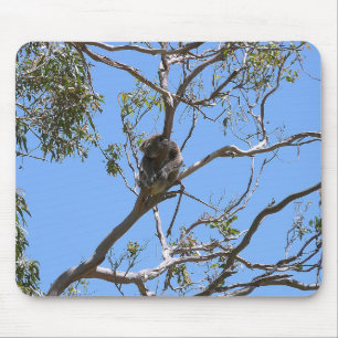 Koala Nap Muismat