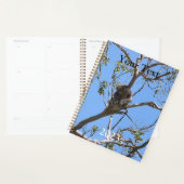 Koala Nap Planner (Display)