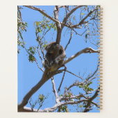 Koala Nap Planner (Achterkant)