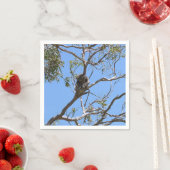 Koala Nap Servet (Insitu)