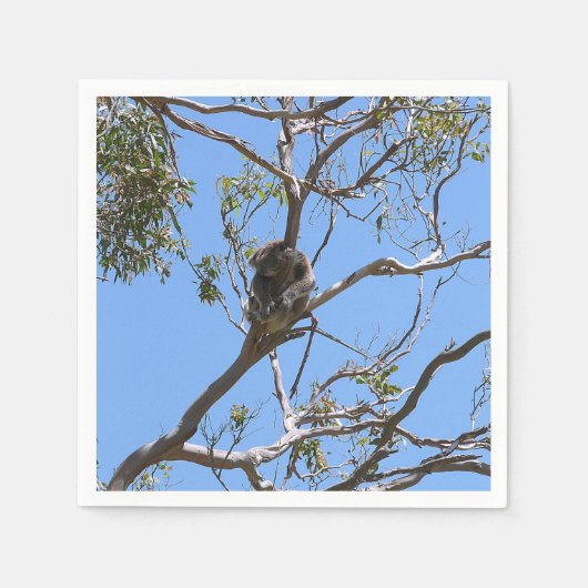 Koala Nap Servet (Voorkant)