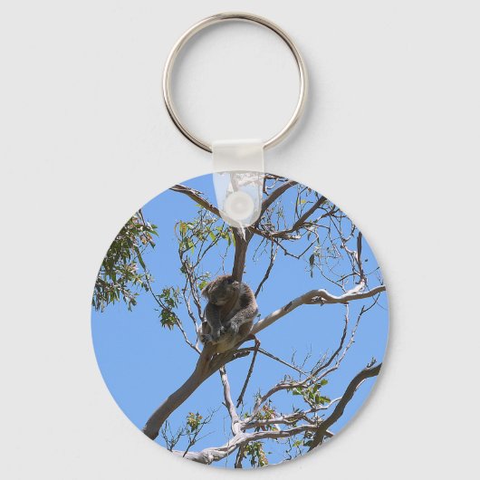 Koala Nap Sleutelhanger (Voorkant)