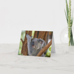 Koala Notecard Kaart