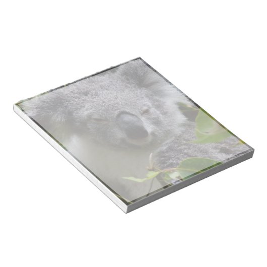 koala notitieblok (Schuin)