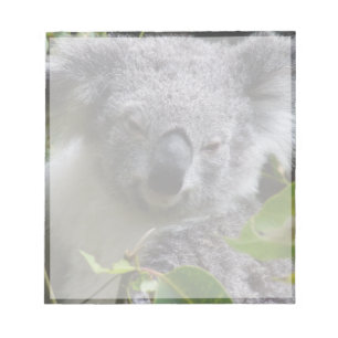 koala notitieblok