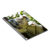 koala notitieboek (Rechterzijde)