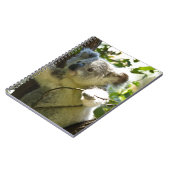 koala notitieboek (Linkerzijde)
