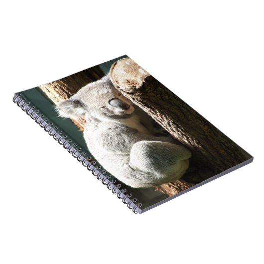 Koala Notitieboek (Rechterzijde)