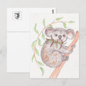 Koala op boomtak briefkaart (Voorkant / Achterkant)