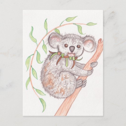 Koala op boomtak briefkaart (Voorkant)