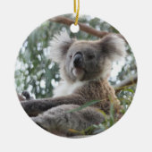 Koala Ornament (Voorkant)
